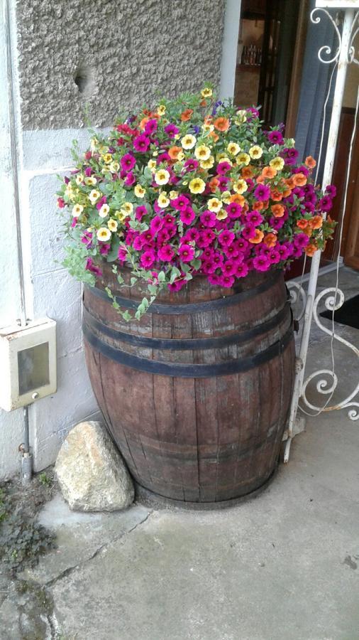 Auberge Du Relais D'Auniac Gourdon-en-quercy Exteriör bild
